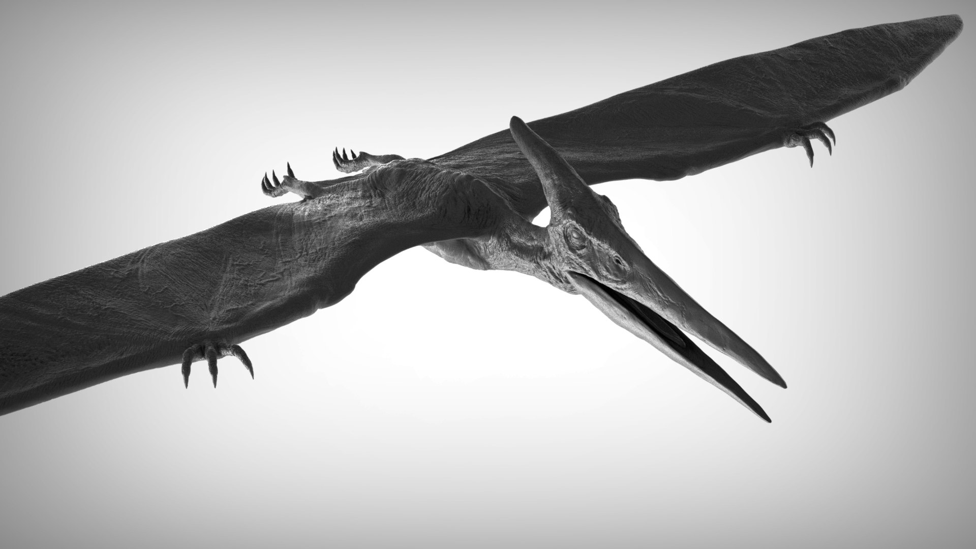 3D pteranodon https://p.turbosquid.com/ts-thumb/mv/IOedg1/3Y8XpE67/eleph_do.3051/jpg/1520718437/1920x1080/fit_q87/4a2837d0436142fcab44faa28689d0cf255d705d/eleph_do.3051.jpg