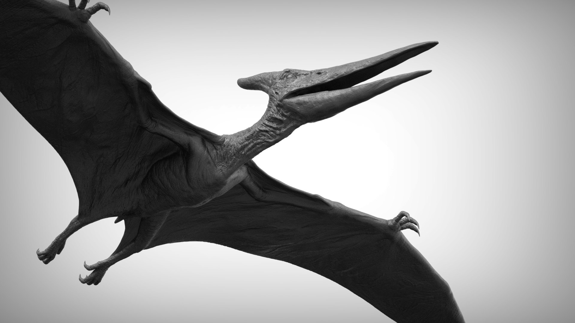 3D pteranodon https://p.turbosquid.com/ts-thumb/mv/IOedg1/4j94OCWR/eleph_do.3019/jpg/1520718748/1920x1080/fit_q87/d6864fd7c35bc4ffe2a8a057a494573f7388bfa4/eleph_do.3019.jpg