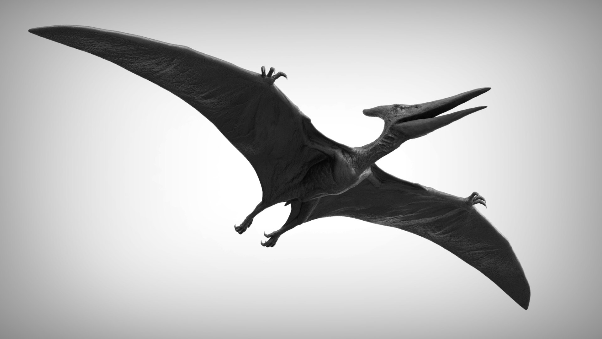 3D pteranodon https://p.turbosquid.com/ts-thumb/mv/IOedg1/5rVO8jLk/eleph_do.3035/jpg/1520718851/1920x1080/fit_q87/22068ec1e0c4a9e1b82a665c86282717e97f37c3/eleph_do.3035.jpg