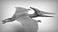 Pteranodon