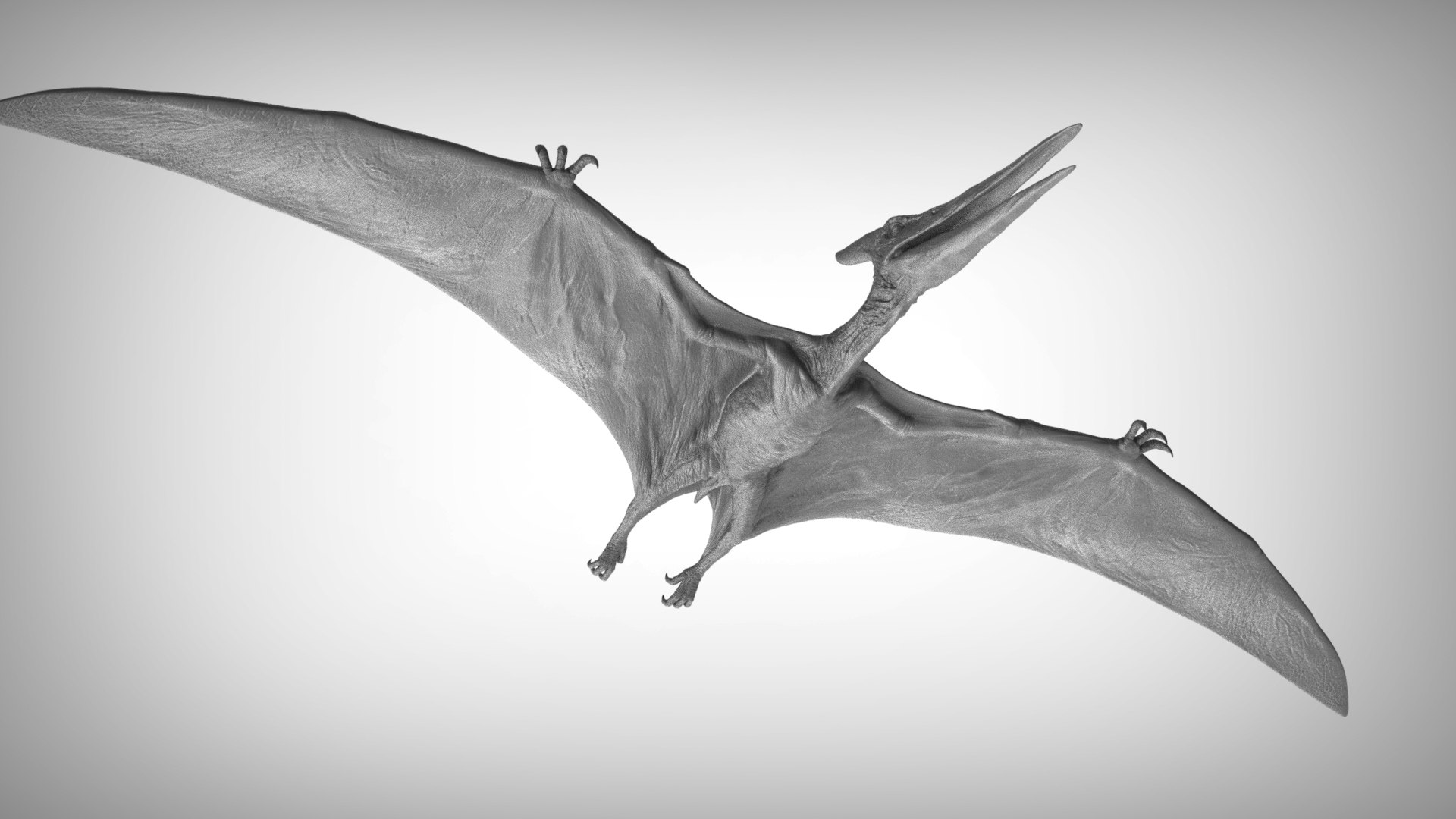 3D pteranodon https://p.turbosquid.com/ts-thumb/mv/IOedg1/CCqgx2Ra/eleph_do.3050/jpg/1520718437/1920x1080/fit_q87/3422712ddef08a7a4c5b95d9191c57b10a485131/eleph_do.3050.jpg