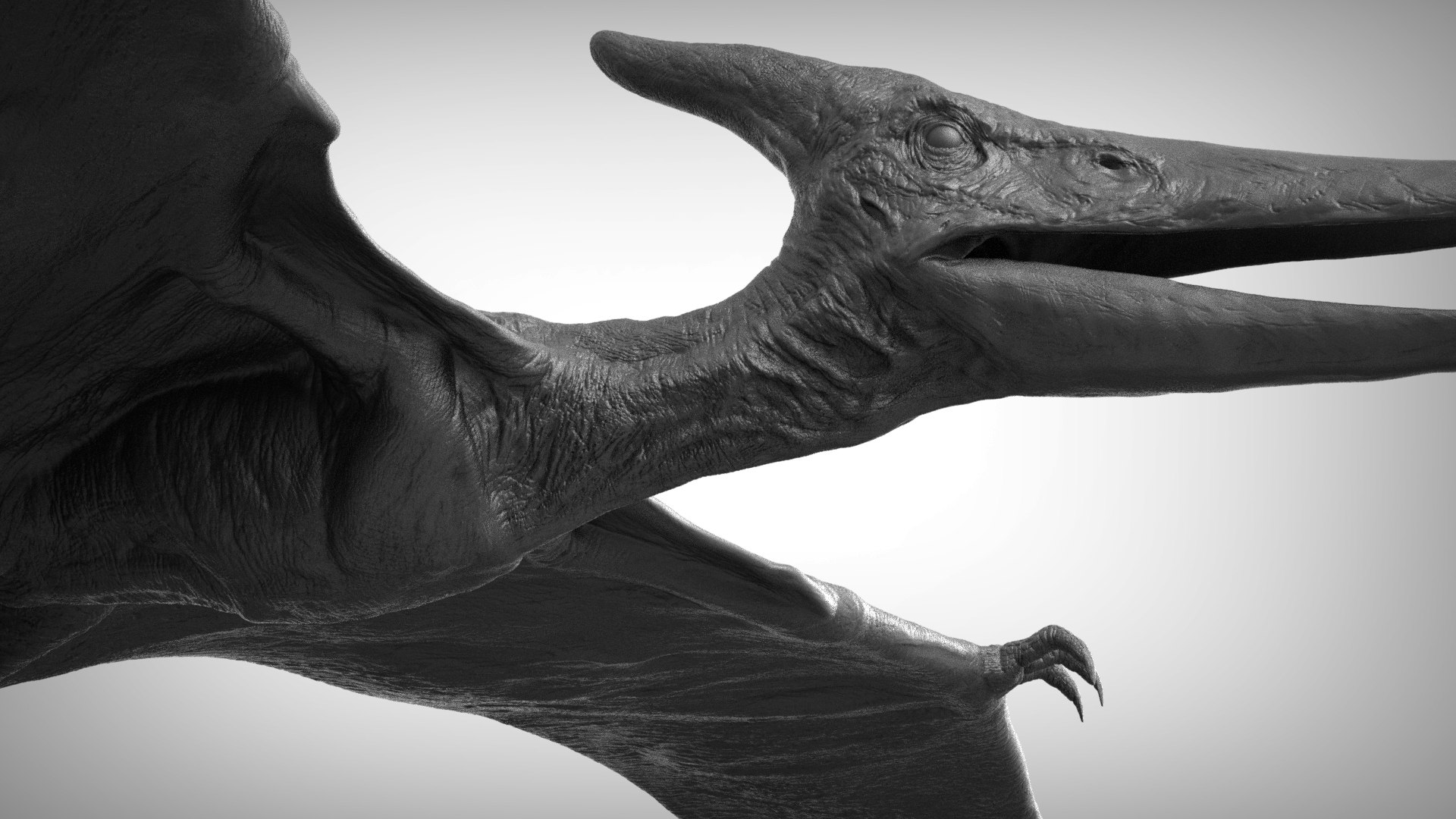 3D pteranodon https://p.turbosquid.com/ts-thumb/mv/IOedg1/Fkns0Kzi/eleph_do.3024/jpg/1520718436/1920x1080/fit_q87/71b1ea9099ceb52fb94585bd3873cca2169ae27b/eleph_do.3024.jpg