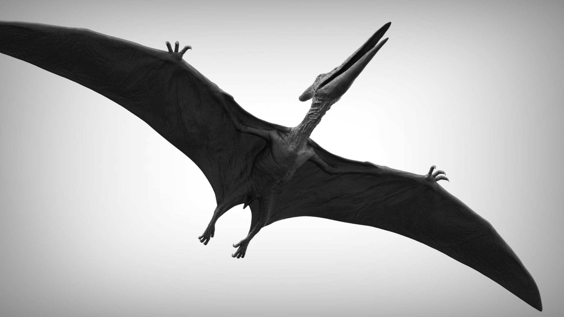 3D pteranodon https://p.turbosquid.com/ts-thumb/mv/IOedg1/HvIu5toT/eleph_do.3020/jpg/1520718748/1920x1080/fit_q87/598bbc91e8bb39cda7e8ea88c2ca0207a358db49/eleph_do.3020.jpg