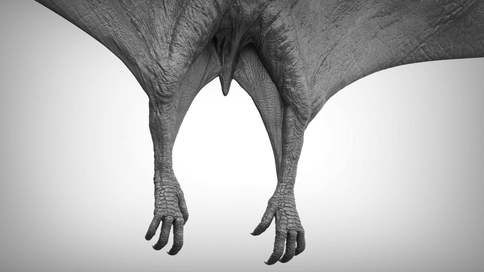 3D pteranodon https://p.turbosquid.com/ts-thumb/mv/IOedg1/LrKt4ftm/eleph_do.3044/jpg/1520718851/1920x1080/fit_q87/ebc291a0e2e46bf4058f37ff151d7c31b55cd684/eleph_do.3044.jpg