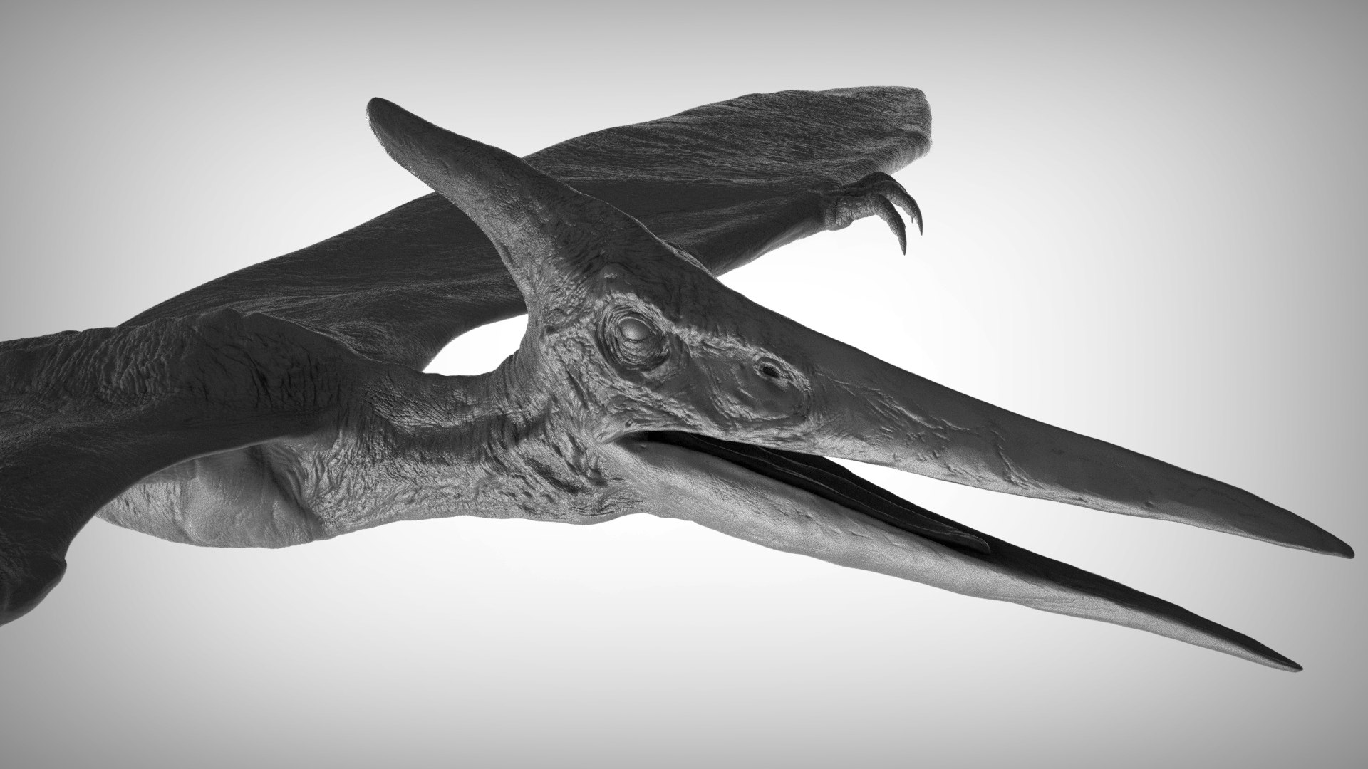 3D pteranodon https://p.turbosquid.com/ts-thumb/mv/IOedg1/MNlmpStP/eleph_do.3047/jpg/1520718982/1920x1080/fit_q87/5c7da4e1e99e8210beb93f3d8ae5cb7a7c5e29b9/eleph_do.3047.jpg