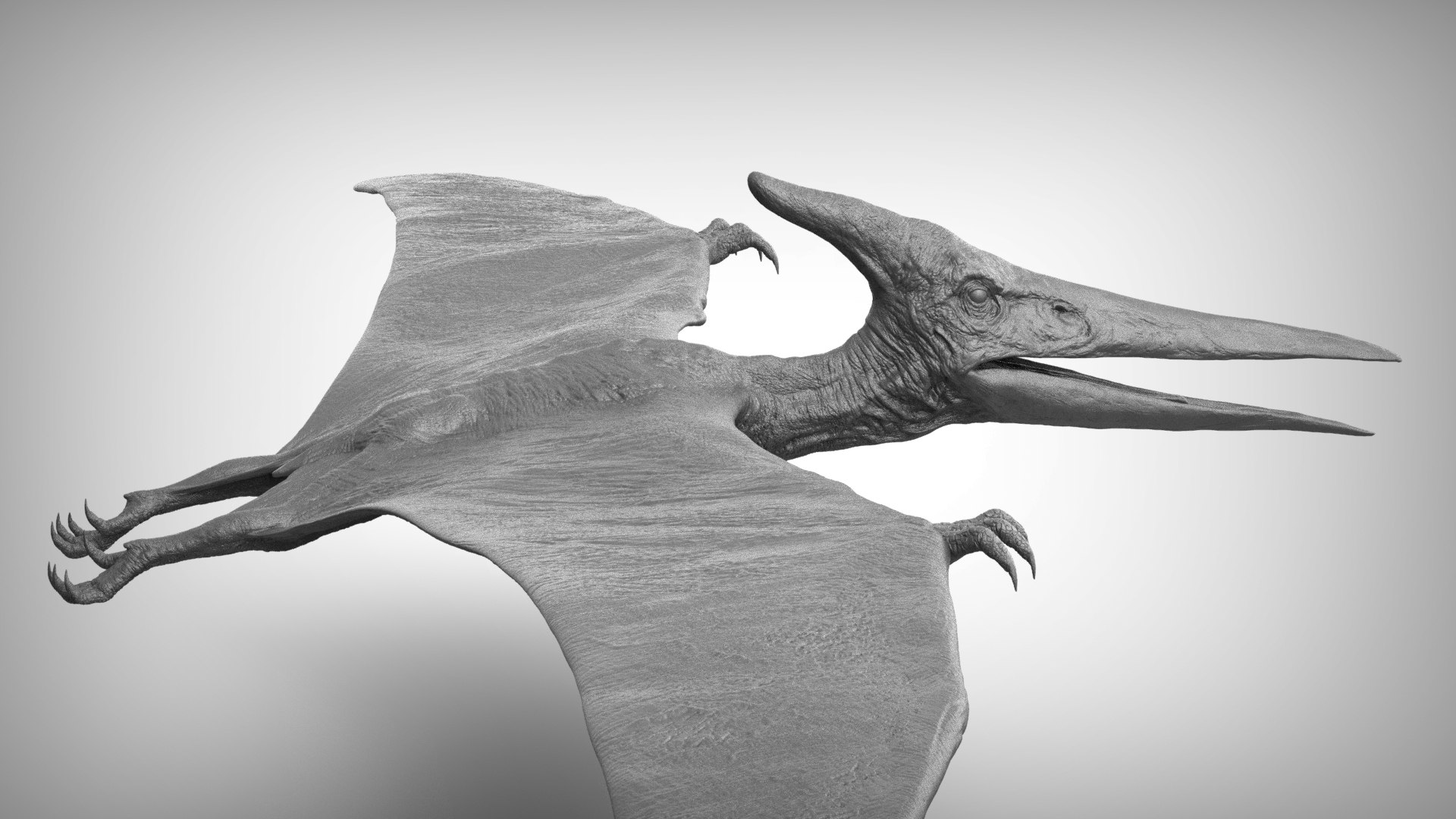 3D pteranodon https://p.turbosquid.com/ts-thumb/mv/IOedg1/WAVETO9G/eleph_do.3038/jpg/1520718437/1920x1080/fit_q87/247194208594dcd326f1bf0e417bfd999ca4585b/eleph_do.3038.jpg