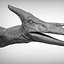 Pteranodon