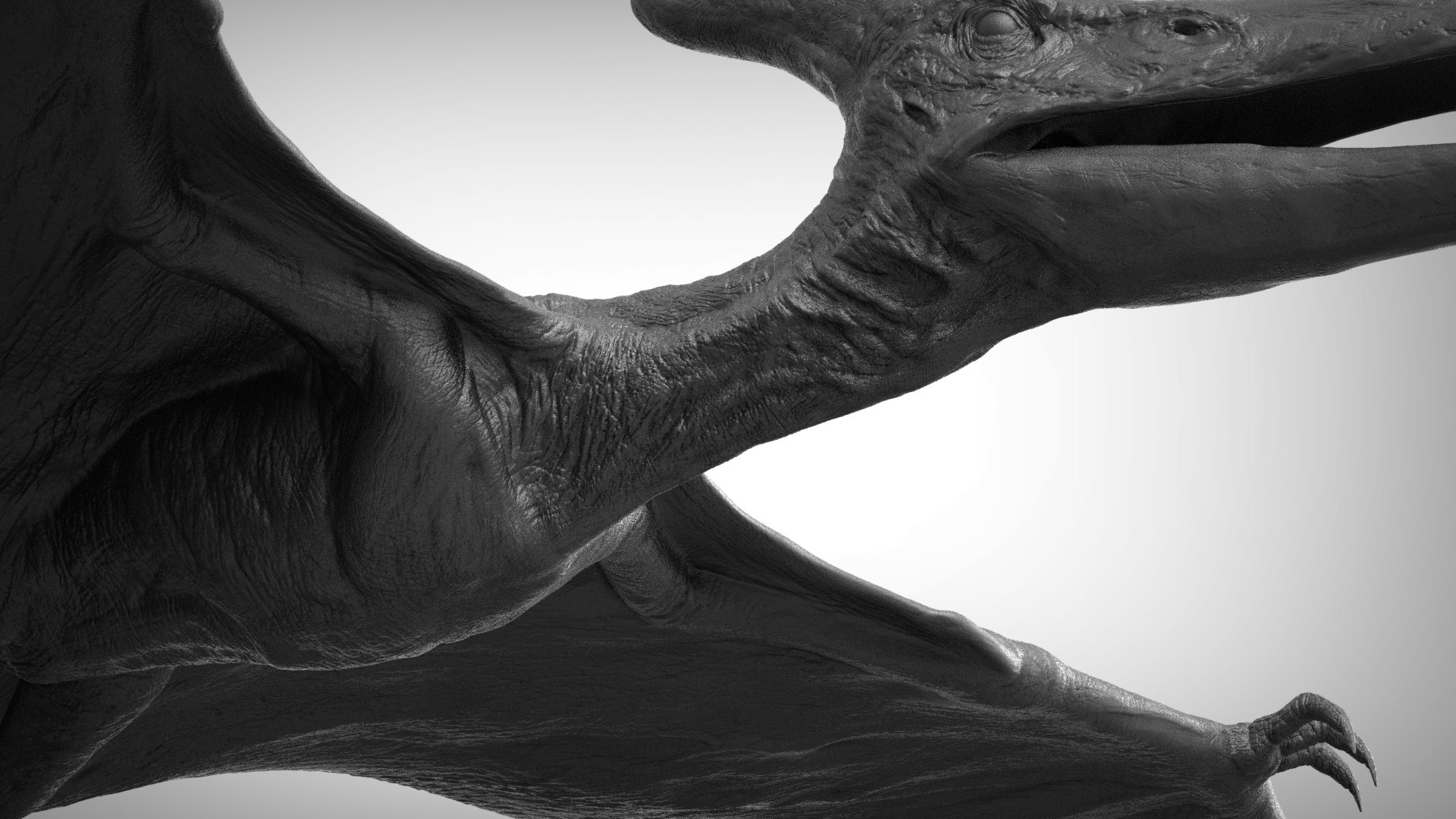 3D pteranodon https://p.turbosquid.com/ts-thumb/mv/IOedg1/d7NBsJSZ/eleph_do.3023/jpg/1520718748/1920x1080/fit_q87/95d2e569b5a508c11278d12f479b37f03a02df5d/eleph_do.3023.jpg