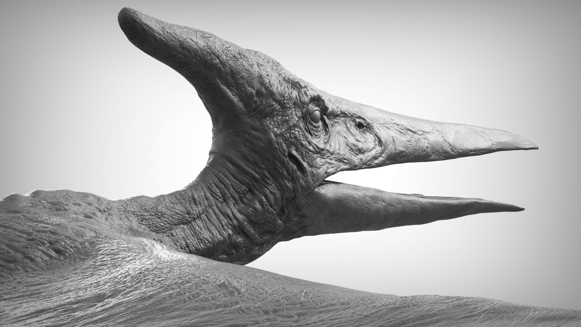 3D pteranodon https://p.turbosquid.com/ts-thumb/mv/IOedg1/gibCABqu/eleph_do.3026/jpg/1520718748/1920x1080/fit_q87/07d2699b998e27aaee0c9be95e678db6b188af8c/eleph_do.3026.jpg