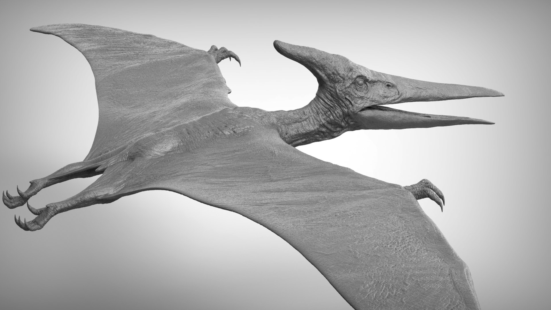 3D pteranodon https://p.turbosquid.com/ts-thumb/mv/IOedg1/iM3buML6/eleph_do.3021/jpg/1520718748/1920x1080/fit_q87/54a3e1c9877401bec5a0c07fa941bb0bcb577e0c/eleph_do.3021.jpg