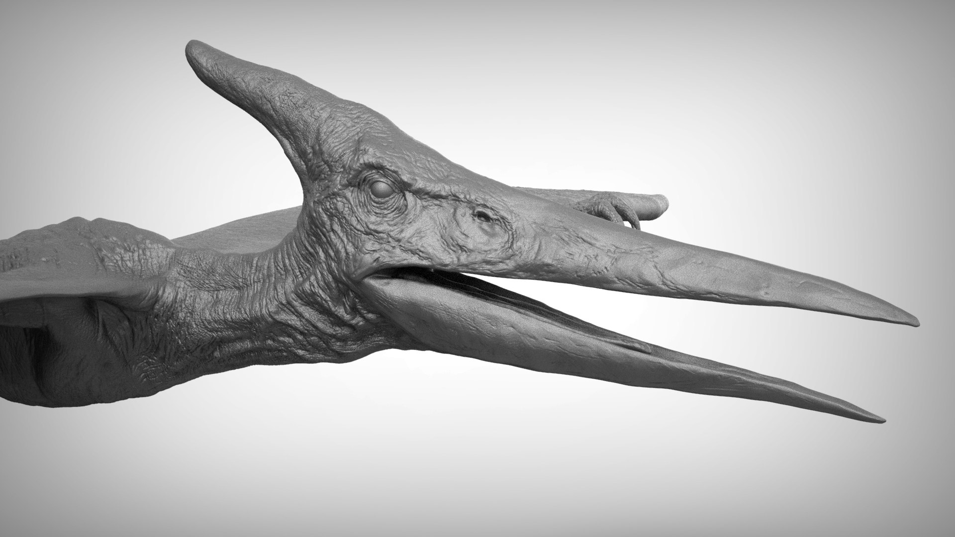 3D pteranodon https://p.turbosquid.com/ts-thumb/mv/IOedg1/iMHiF0NU/eleph_do.3018/jpg/1520718436/1920x1080/fit_q87/a7e5a0eed993a7bbdf048e71418b02d9b76416a2/eleph_do.3018.jpg