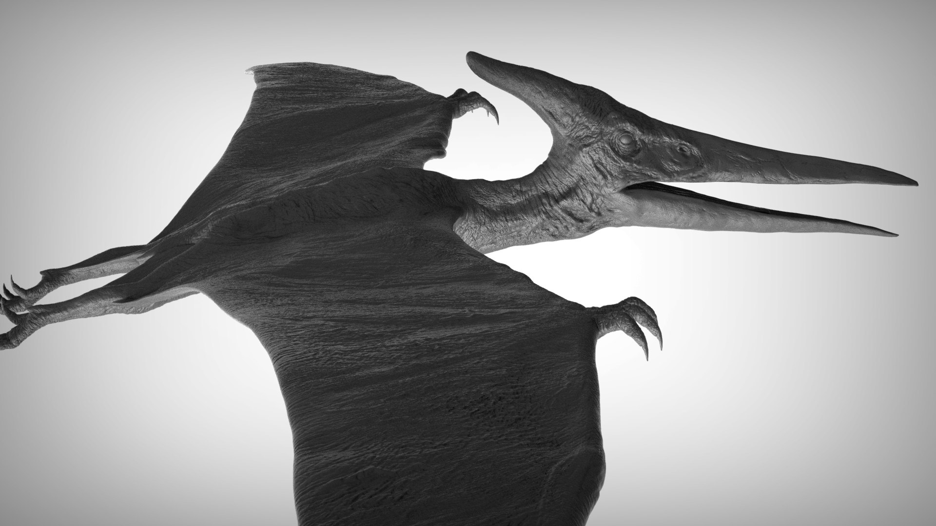 3D pteranodon https://p.turbosquid.com/ts-thumb/mv/IOedg1/iROmX65N/eleph_do.3048/jpg/1520718982/1920x1080/fit_q87/e6a77cd3bc6727e1887714a4bb8dd4e6a9bf17b3/eleph_do.3048.jpg