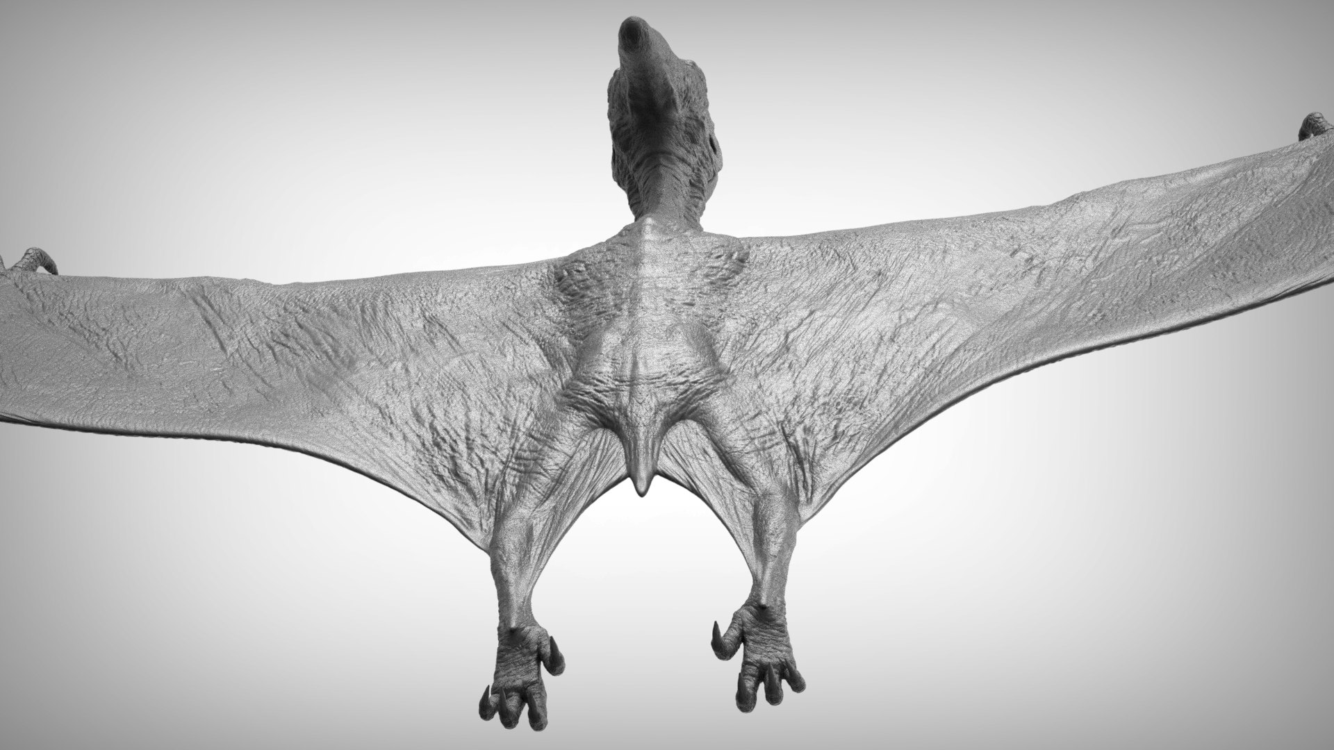 3D pteranodon https://p.turbosquid.com/ts-thumb/mv/IOedg1/xH9iExhe/eleph_do.3046/jpg/1520718982/1920x1080/fit_q87/cac76e11dd66802c5bf7cc4872561b6f7b1a328c/eleph_do.3046.jpg