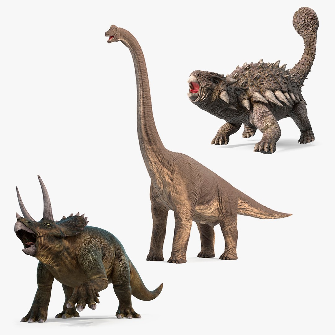 Rigged Herbivorous Dinosaurs Collection 3D model preview