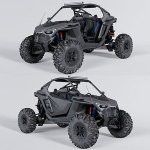 3D Polaris RZR - Adventure Vehicle model
