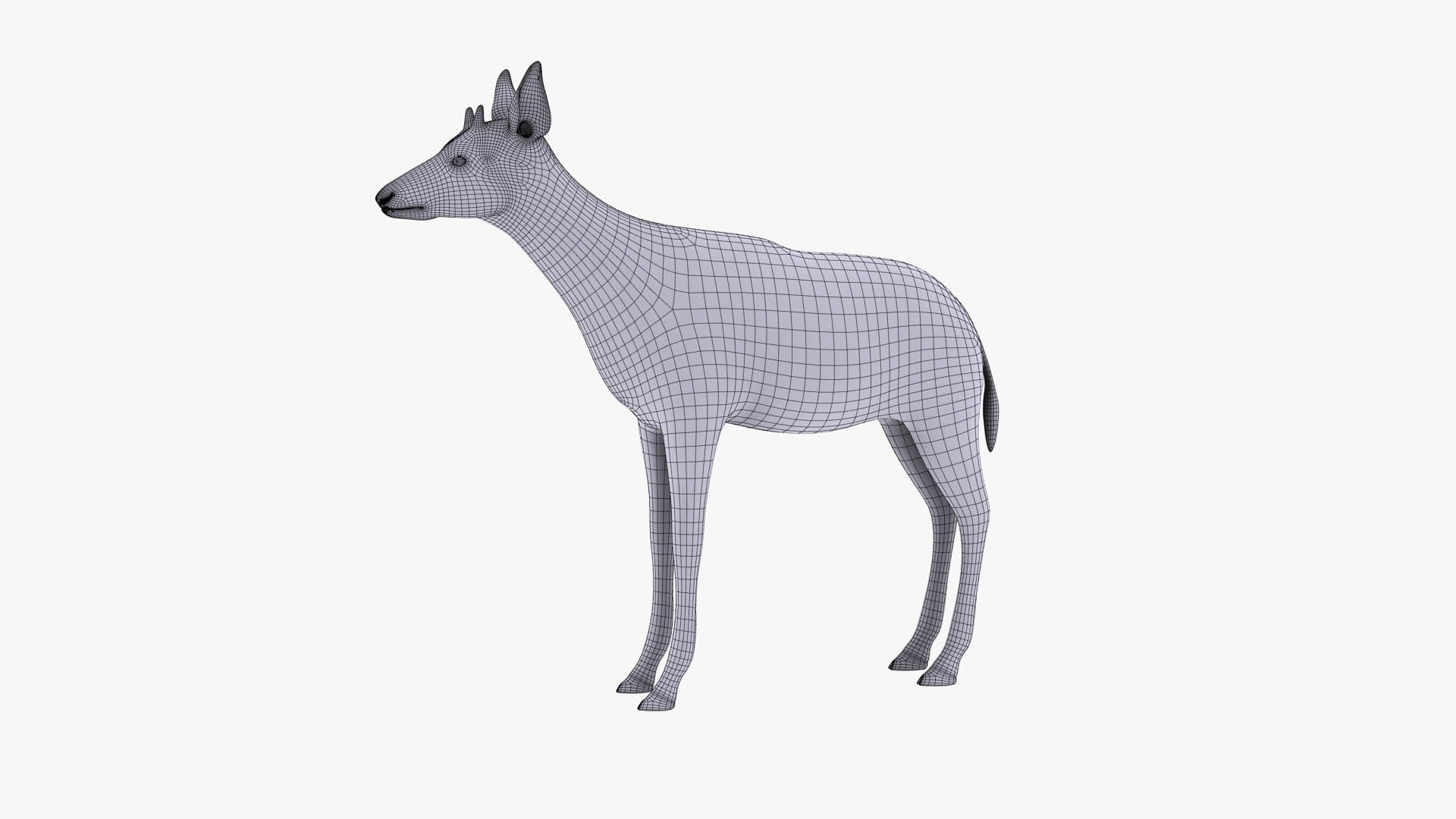3D Okapi Poser Model - TurboSquid 1999035