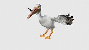 3D model Low Poly Pelican Rigged With Realistic Texture