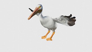 Low Poly Pelican Rigged With Realistic Texture