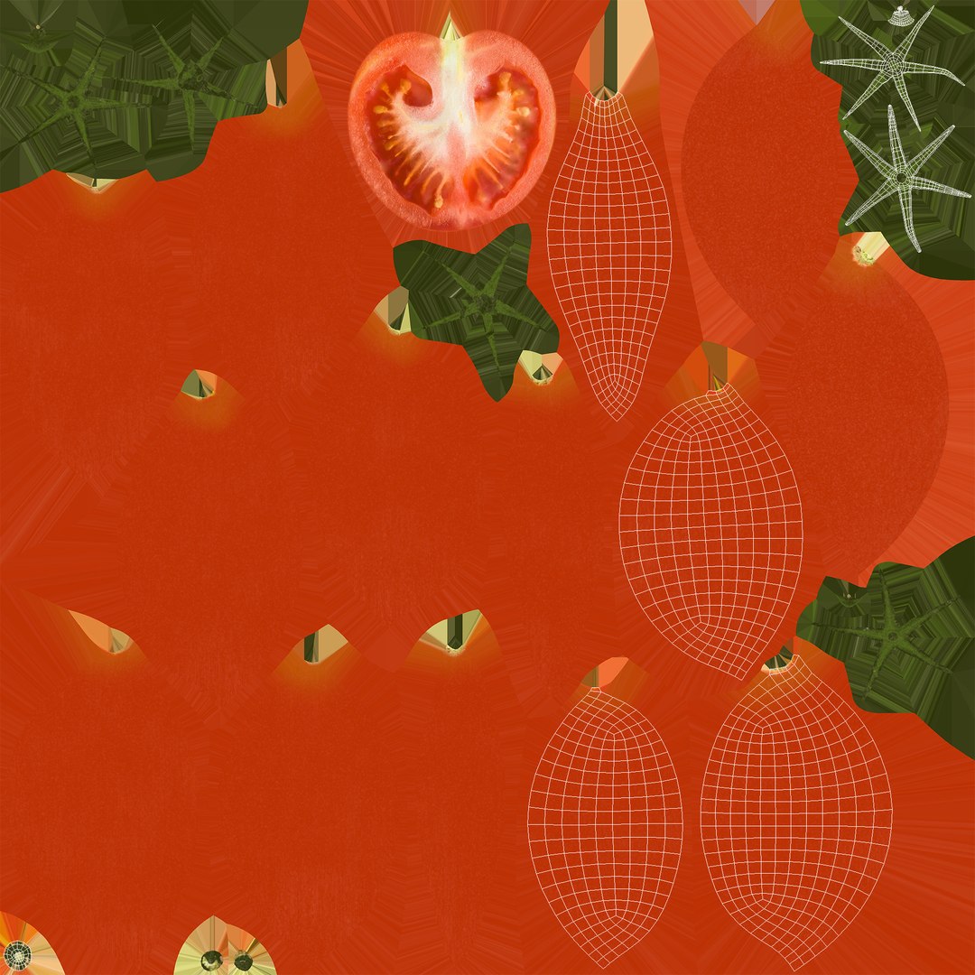 Tomato slices 3D model https://p.turbosquid.com/ts-thumb/mv/PVThkw/mu/uv2copy/jpg/1722535775/1920x1080/fit_q87/54915d51d36ed268582af03195ec4e5434e002f8/uv2copy.jpg