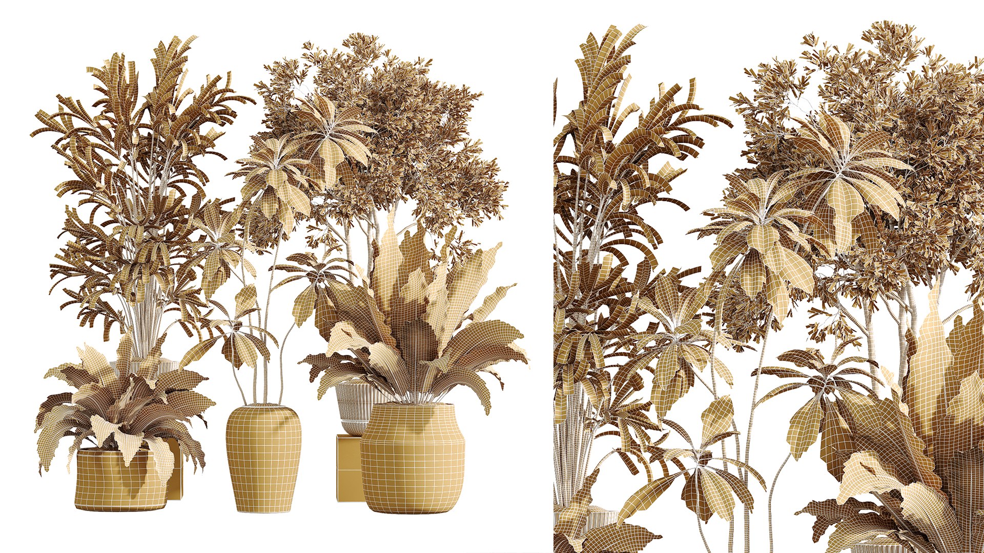 3D AV Indoor plants set 210 Mission Olive and Ficus Cyathistipula and Lily Domino and Lutescens palm https://p.turbosquid.com/ts-thumb/mv/VIeWxJ/8i/07/png/1746680806/1920x1080/fit_q87/b651efcdef1671a756908e23854f3a6911ad313e/07.jpg
