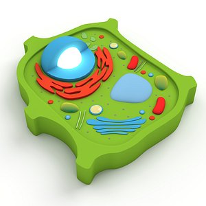 Plant Cell v4 model
