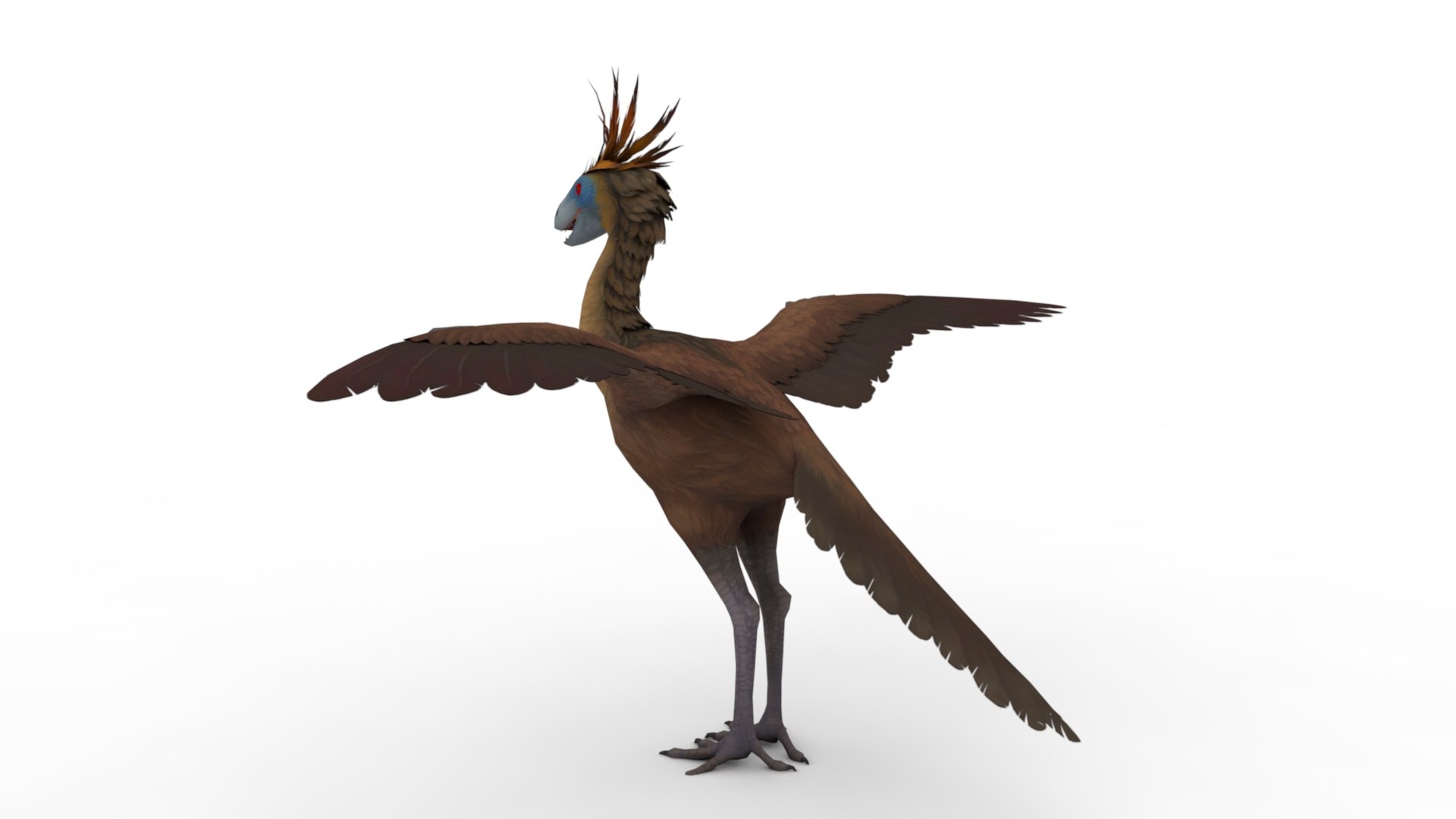 Terror Bird 3D Model - TurboSquid 1952072