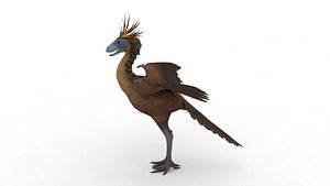 Terror bird
