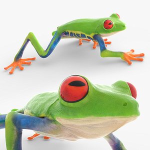 3D Walking Red Eyed Tree Frog Animated Rigged for Blender