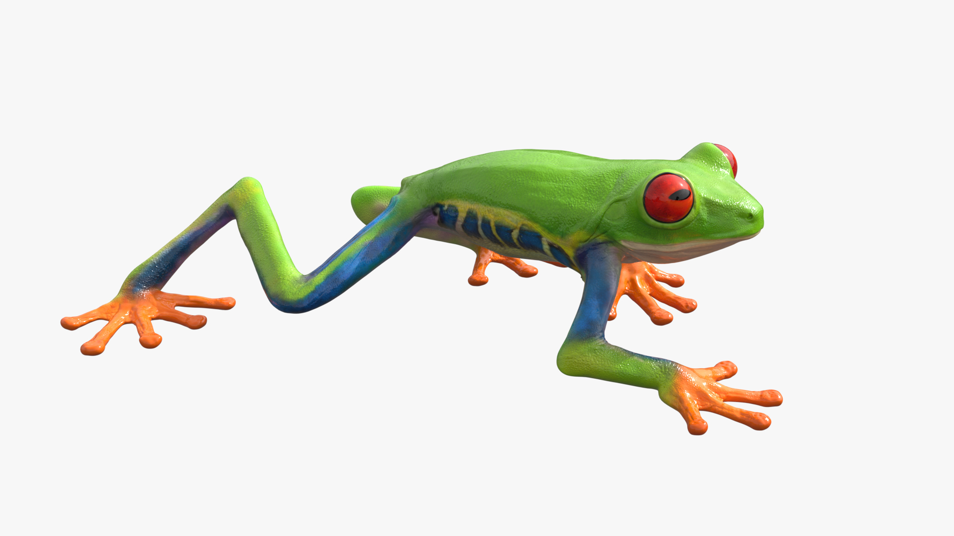 3D Walking Red Eyed Tree Frog Animated Rigged for Blender https://p.turbosquid.com/ts-thumb/mv/l58fhD/zD/walking_red_eyed_tree_frog_animated_rigged_for_blender_362/jpg/1766389517/1920x1080/turn_fit_q99/847e188e4dfdefe19748464d5f26c1110add1673/walking_red_eyed_tree_frog_animated_rigged_for_blender_362-1.jpg