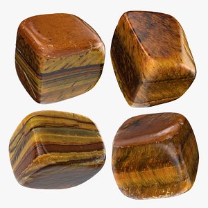 Tigers Eye Collection 3D