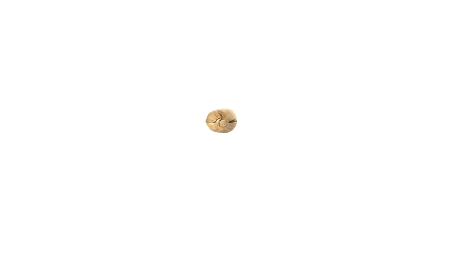 3D pistachios model https://p.turbosquid.com/ts-thumb/mw/AUD6Jn/hkB16yrl/10/png/1576861601/1920x1080/fit_q87/7cfd24d00c22508ccd589350241fbf370e0727db/10.jpg