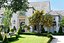2021 PBR Golden Shower Tree Collection Cassia Fistula