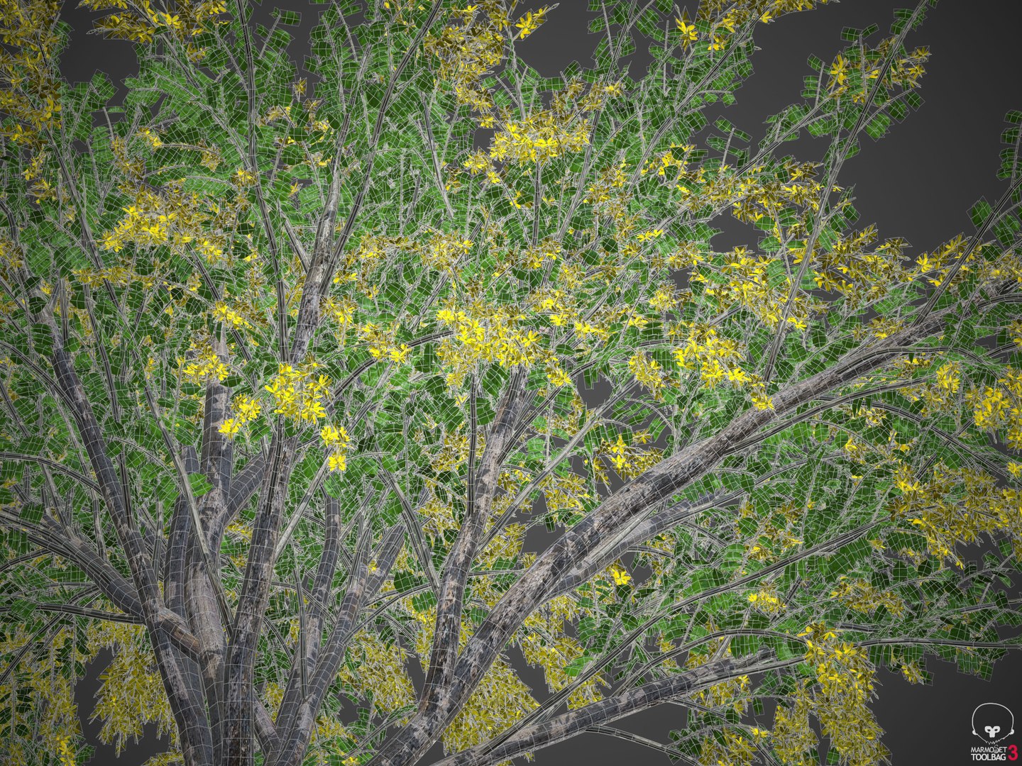 3D tree nature model https://p.turbosquid.com/ts-thumb/mw/Fzx3WS/Dv/wireframe2/jpg/1610999451/1920x1080/fit_q87/78acdd52c60f0ff24eaf9d0a153ec34d48bf102a/wireframe2.jpg