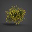 2021 PBR Golden Shower Tree Collection Cassia Fistula