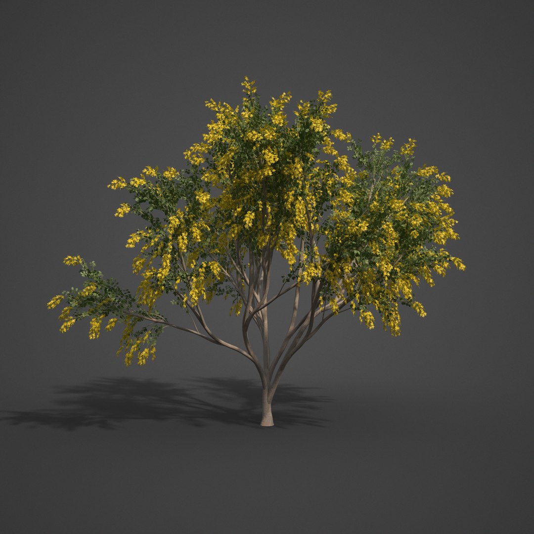3D tree nature model https://p.turbosquid.com/ts-thumb/mw/Fzx3WS/K4/as04_06/png/1610999452/1920x1080/fit_q87/0d4932d1c72a96be878e369b46ca94e81932ac0a/as04_06.jpg