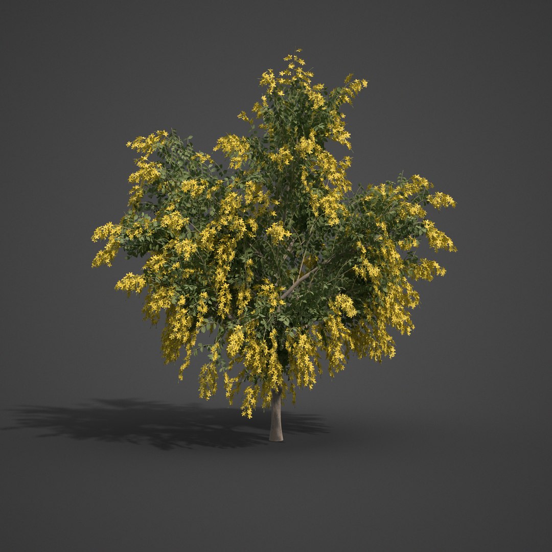 3D tree nature model https://p.turbosquid.com/ts-thumb/mw/Fzx3WS/cl/as04_09/png/1610999457/1920x1080/fit_q87/fb486600057f5bda7bb5ae141fcc3e1b56d43a63/as04_09.jpg