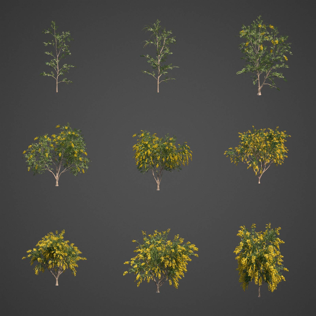 3D tree nature model https://p.turbosquid.com/ts-thumb/mw/Fzx3WS/vA/as04/jpg/1610999414/1920x1080/turn_fit_q99/aa74ed29081f41fadb74f24d56783a18a560f087/as04-1.jpg