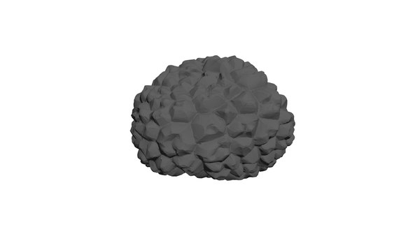 modelo 3d trufa pequeña - TurboSquid 1799614