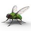 Flying Insects Rigged Collection 5 for Cinema 4D