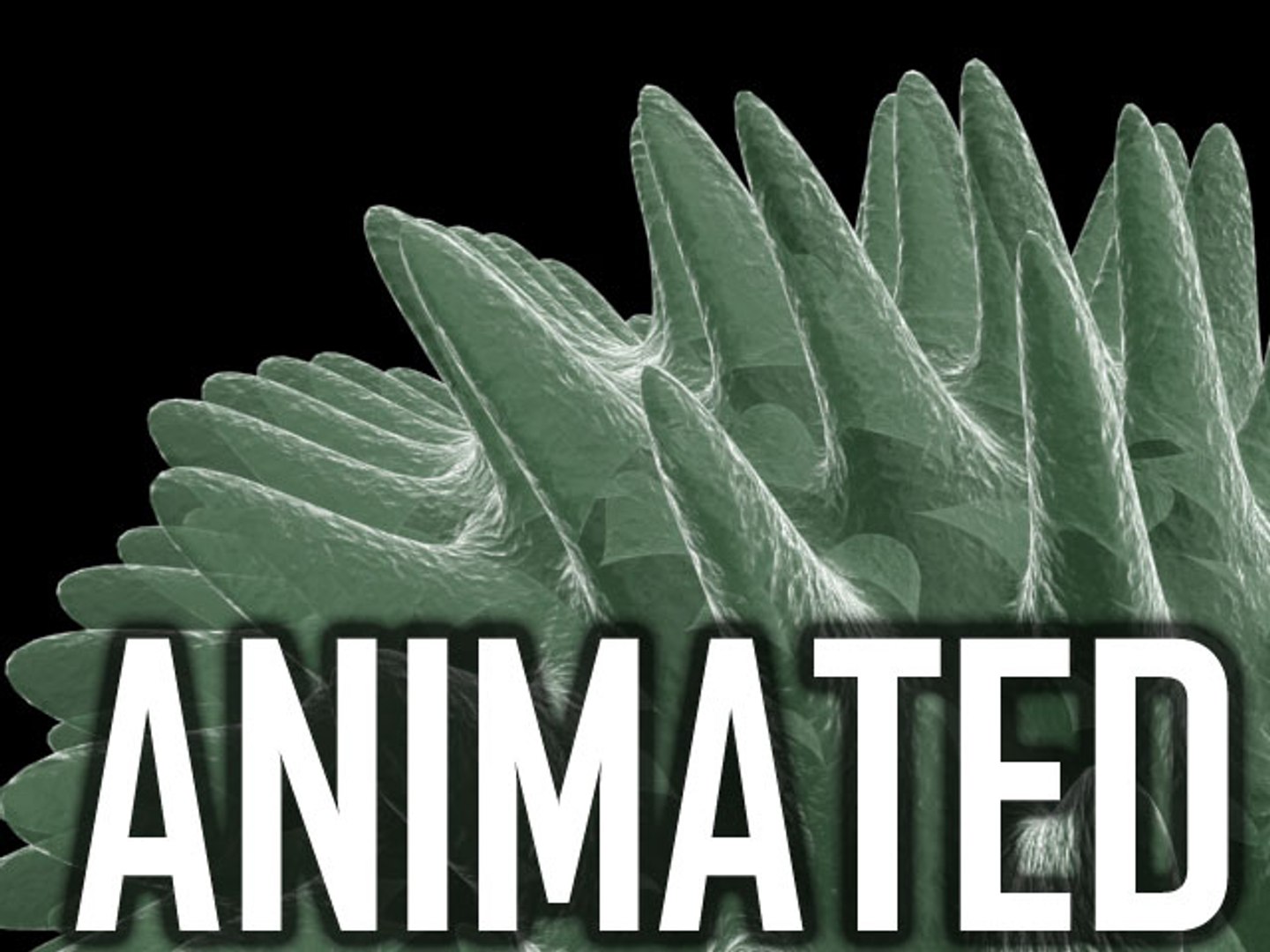 tentacle cell 3d model https://p.turbosquid.com/ts-thumb/mw/hZJyi3/x4zq0b8O/anim/jpg/1185377344/1920x1080/fit_q87/de7015f39a682ec8d0bfe6c6e0371b0d86c80bad/anim.jpg