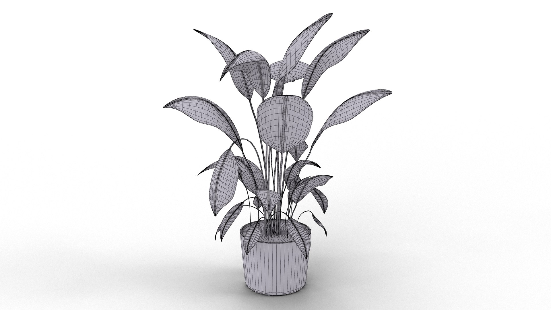 Plant 3D Model - TurboSquid 2007329