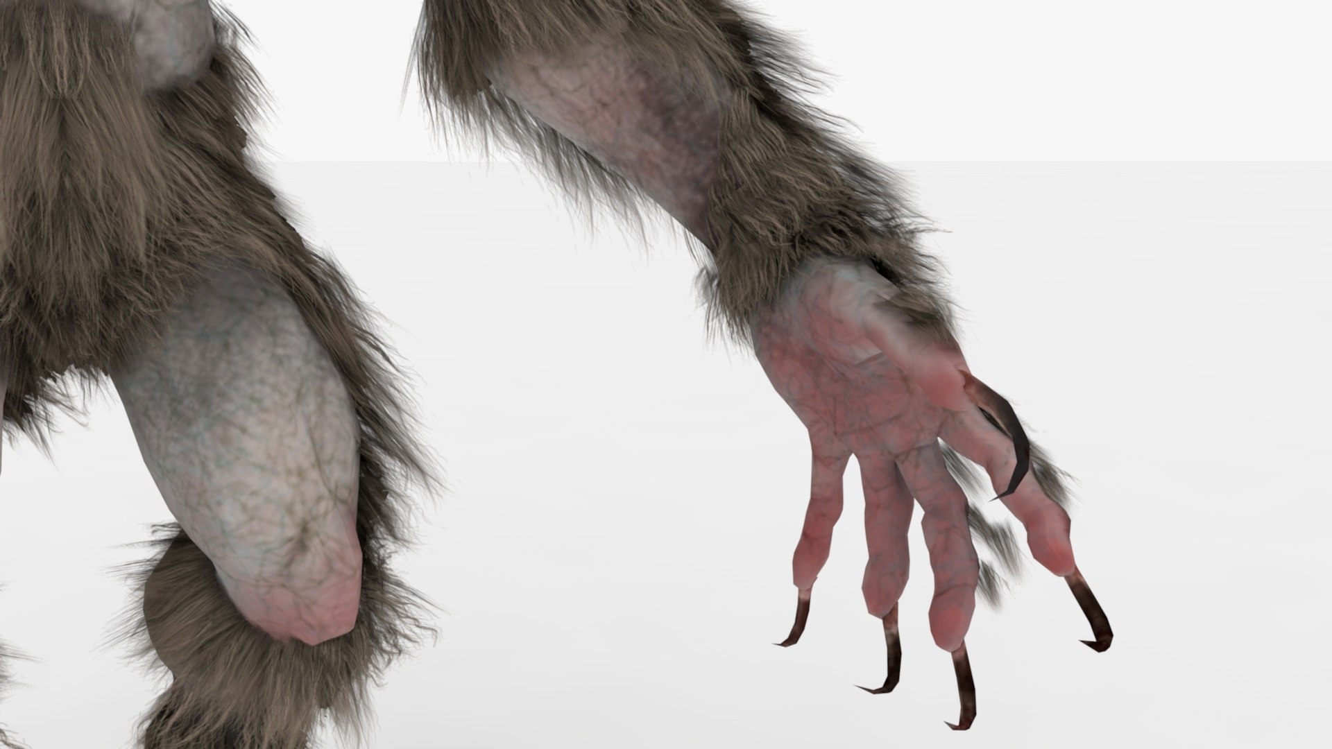 Werewolf Rigged And Animated 3D Model - TurboSquid 2348763