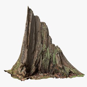 8K Hollowed Trunk 3D