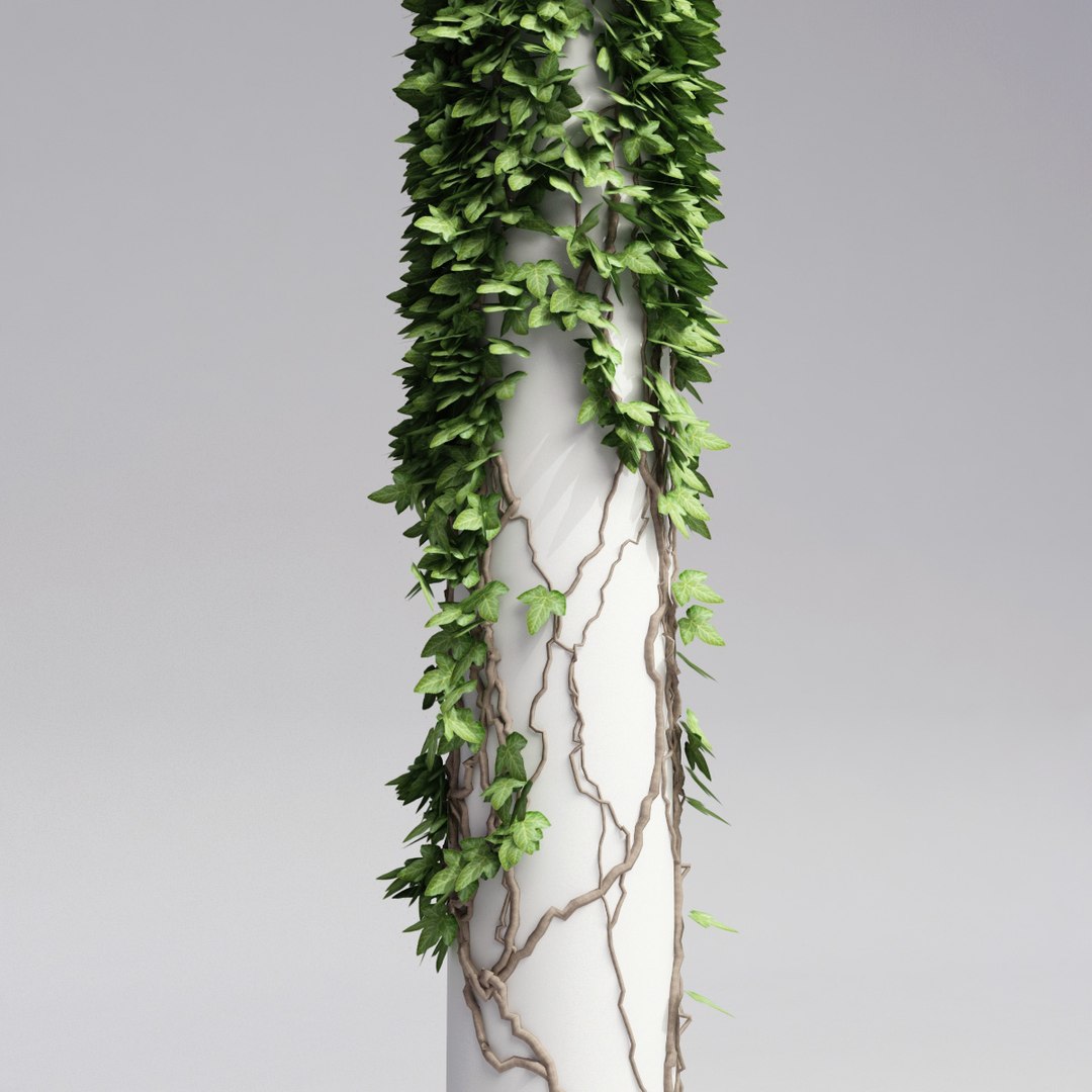3ds max ivy v3 https://p.turbosquid.com/ts-thumb/mw/zCFtSx/LHbQN5Yb/ivy_collection_v3_06/jpg/1288798089/1920x1080/fit_q87/b0dd78c9a68a19ff88aad320bba04adf070badb7/ivy_collection_v3_06.jpg