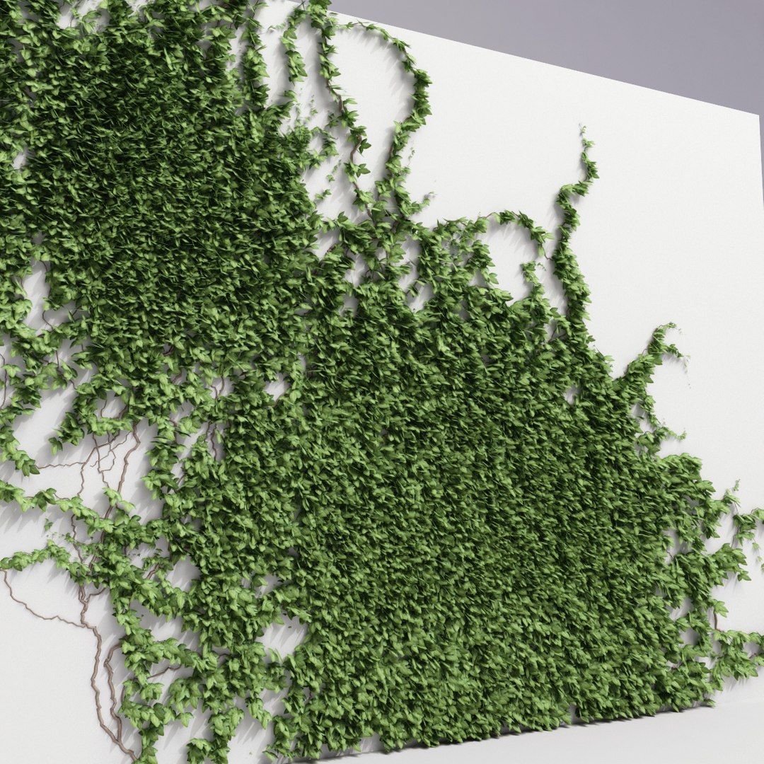 3ds max ivy v3 https://p.turbosquid.com/ts-thumb/mw/zCFtSx/UlWpCENM/ivy_collection_v3_38/jpg/1288798090/1920x1080/fit_q87/45cabbb8567a72f96fdaaaea43c31ba9878f67de/ivy_collection_v3_38.jpg