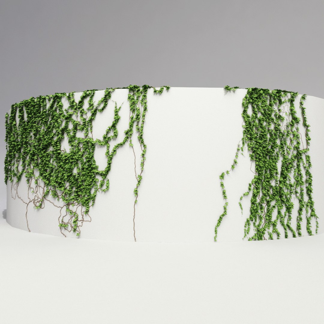 3ds max ivy v3 https://p.turbosquid.com/ts-thumb/mw/zCFtSx/rUC6knuf/ivy_collection_v3_18/jpg/1288798089/1920x1080/fit_q87/0bb250ef32e14da28ce1e4e97536308b93c87d50/ivy_collection_v3_18.jpg