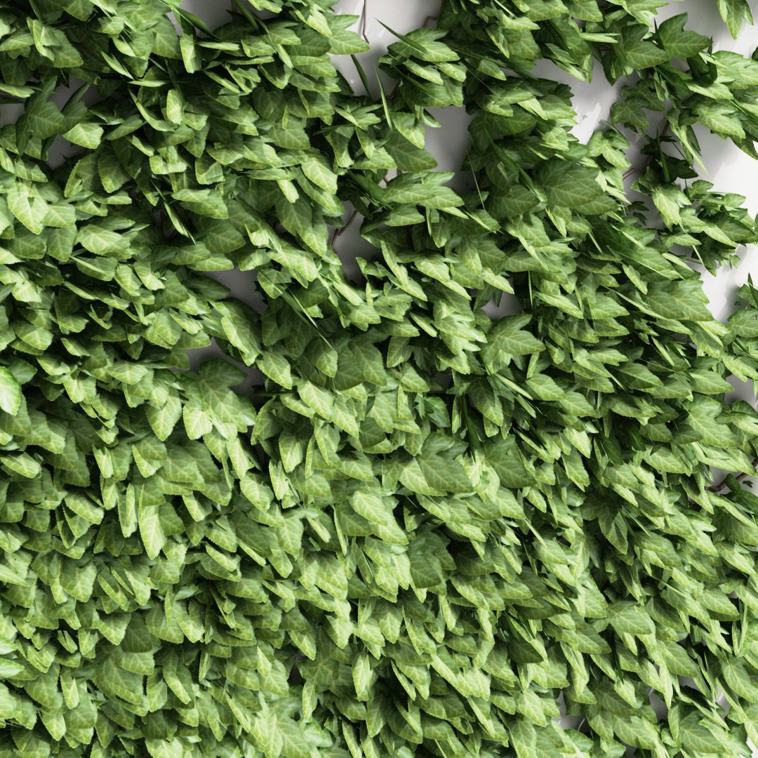 3ds max ivy v3 https://p.turbosquid.com/ts-thumb/mw/zCFtSx/tIs1sCCv/ivy_collection_v3_33/jpg/1288798090/1920x1080/fit_q87/fb8fa848ed1dc2051357d82fe901f82f533d4584/ivy_collection_v3_33.jpg