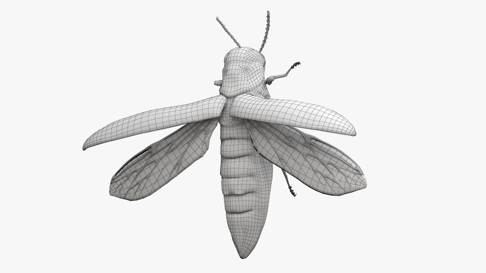 Emerald Ash Borer 3D model https://p.turbosquid.com/ts-thumb/mx/74KVJp/1o/turbosquid_wire_hd18/jpg/1654446209/1920x1080/fit_q87/aec510127de651d5e2479e57cc9ce522b3e10954/turbosquid_wire_hd18.jpg