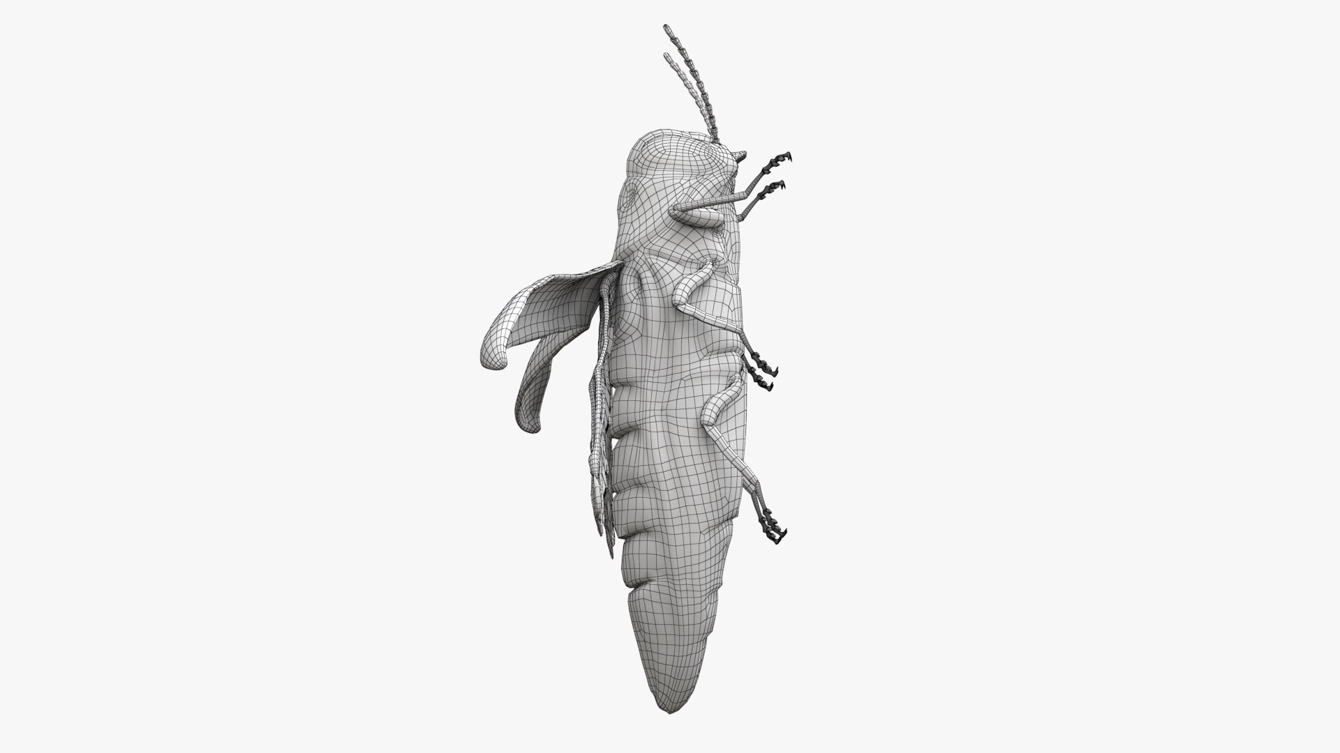 Emerald Ash Borer 3D model https://p.turbosquid.com/ts-thumb/mx/74KVJp/20/turbosquid_wire_hd15/jpg/1654446209/1920x1080/fit_q87/06fd291627df9e0381473a84baed406338686541/turbosquid_wire_hd15.jpg