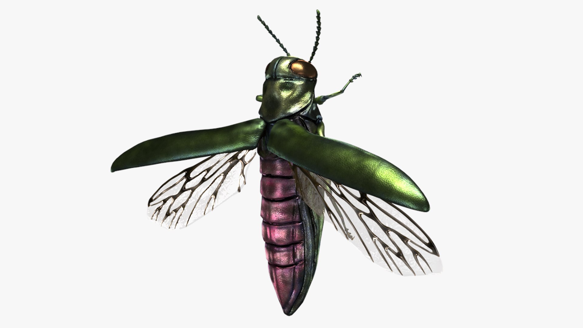 Emerald Ash Borer 3D model https://p.turbosquid.com/ts-thumb/mx/74KVJp/2i/turbosquid_hd32/jpg/1654445710/1920x1080/fit_q87/f144942015386b554dbfdfdbca5847fa4ce86465/turbosquid_hd32.jpg